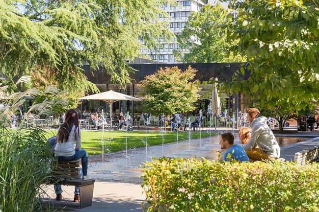 Das Studentenleben von seiner schönsten Seite: Unser Campus und Heidelberg haben viel zu bieten.