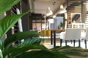 Unser Campus an der XU Exponential University in Potsdam.