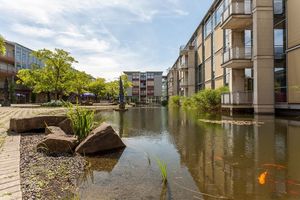 Immobilien kann man studieren – an DER Immobilienhochschule