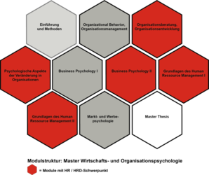 Steinbeis IEC Modulstruktur Master Wirtschaftspsychologie