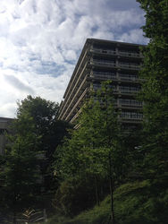 Das Institut für Arbeitswissenschaft