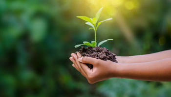 Fachbereich Umwelt Natur