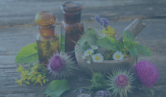 Glasgefässe und verschiedene Heilpflanzen in einem Mörser.