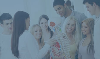 Eine Ärztin zeigt Jugendlichen etwas anhand eines Skelettes.